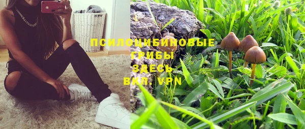 дживик Каменногорск
