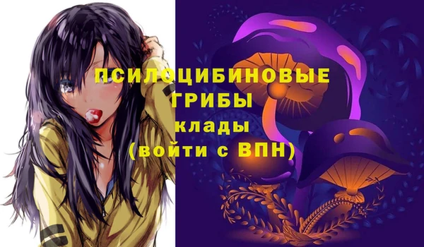 МДПВ Касимов