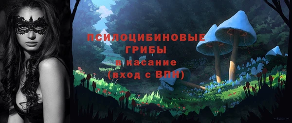тгк Карпинск